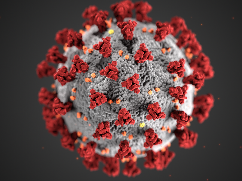 2021 highlights: How to be an Epidemiologist